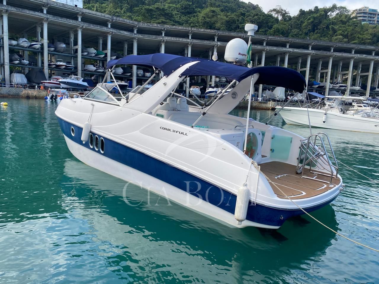 Coral Full 31