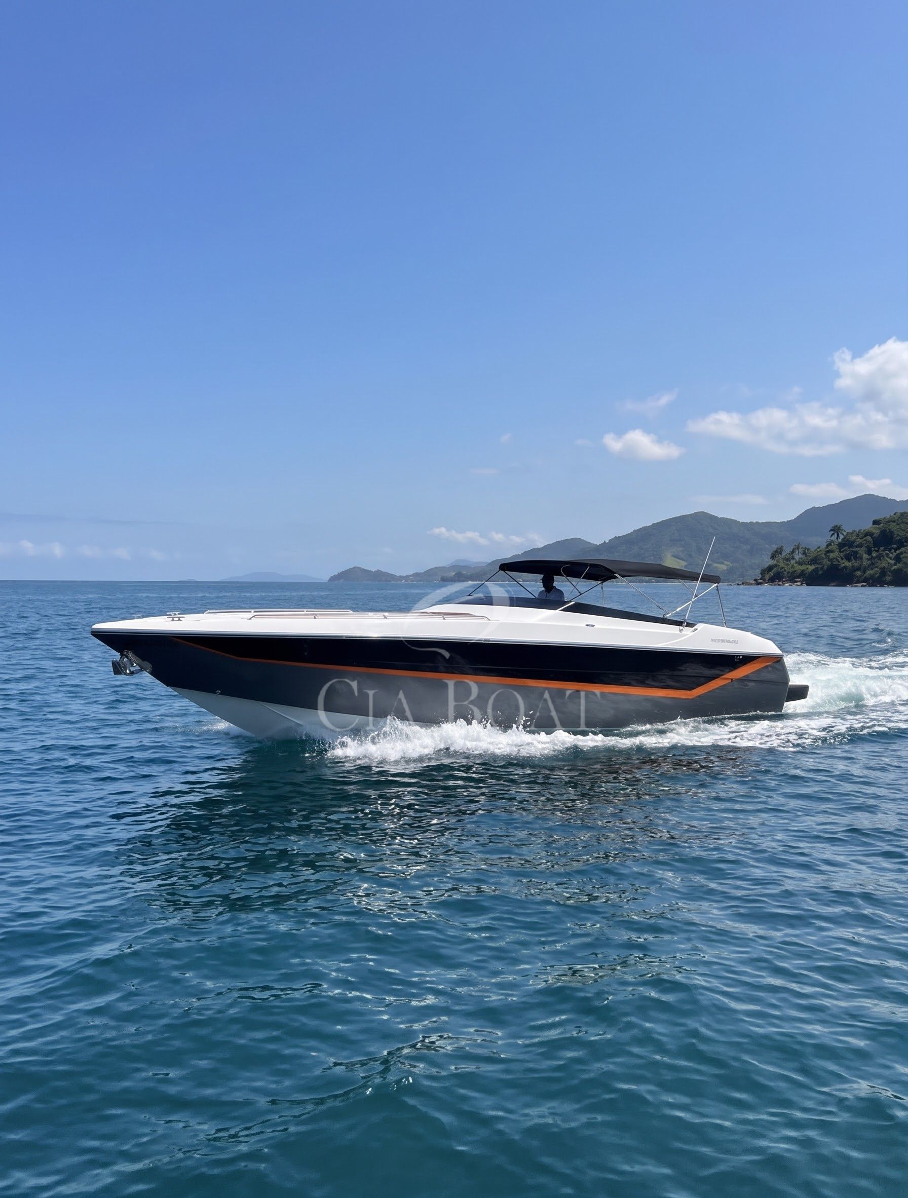 Cougar 42